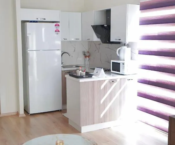 King Ss2 イスタンブール